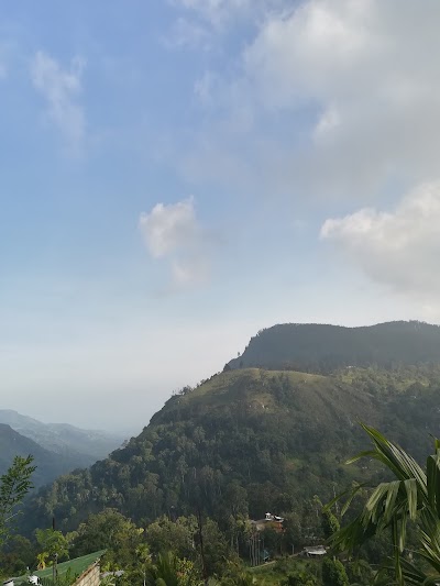 Photos of Virgin View