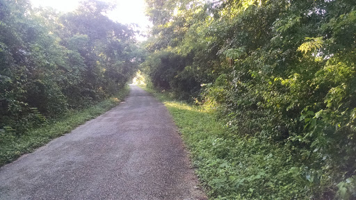 Camino a Popolá - Thumbnail