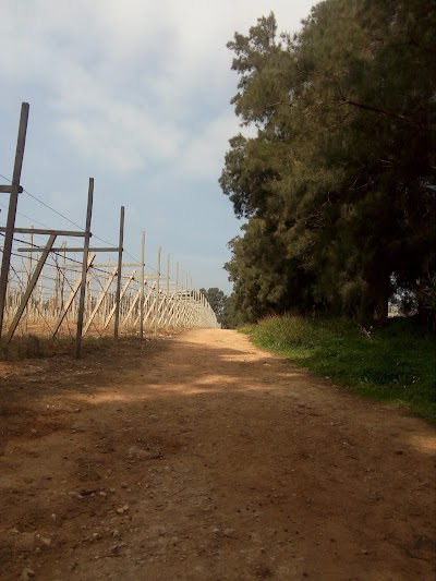 Photos of NAFTAL Kol&eacute;a