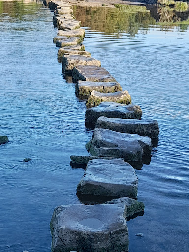 The Stepping Stones - Thumbnail
