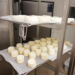 Photo n°12 de Ferme de Villemenard (EARL Lyko Meunier) à Vignoux-sur-Barangeon (Ferme)