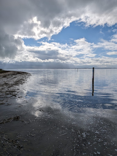 Maxim Guide en Baie Somme - Thumbnail