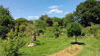 Nomade Land - Solo Frey à Mérillac