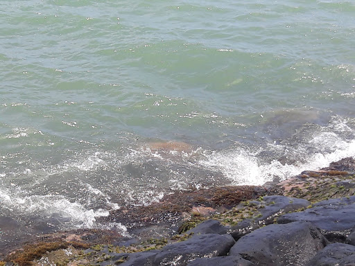 Snorkel Bob's Kihei - Thumbnail