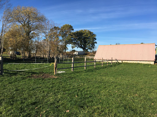 DIE PONY-FARM - M. Alsen - Thumbnail