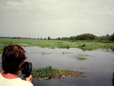 Photos of Lac de Tengrela
