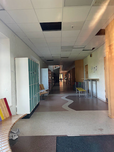 Åsaskolan - Visual