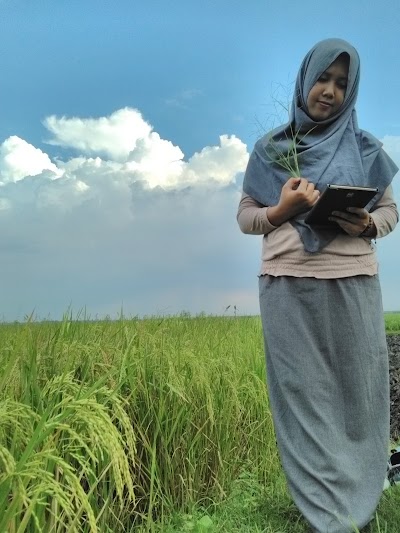 Photos of Balai Desa , Ds Ketandan