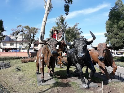 Photos of Hostal Amazonas