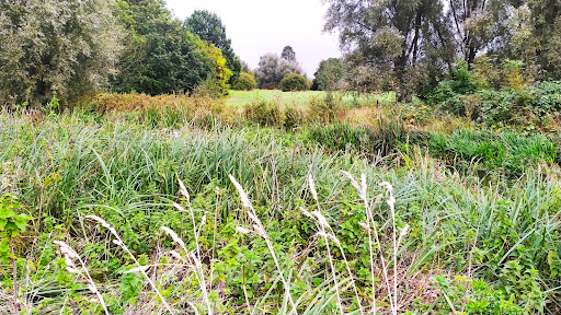 Cornmill Meadows Car Park - Thumbnail