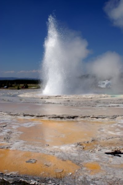 Yellowstone Park / West Gate KOA