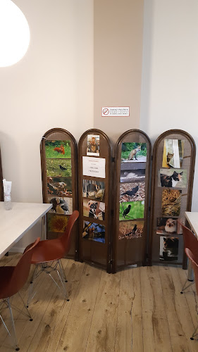 Garmażerka Lena Smak Dzieciństwa - Restauracja