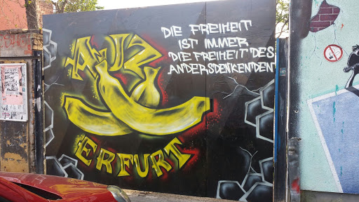 AJZ Erfurt - Visual
