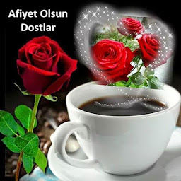 Photo n°13 de Pizza ,Kebab, Andiamo à Bailleul (Restaurant turc)