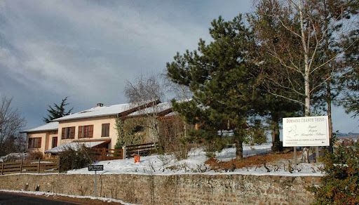 Photo de Domaine Chante Vigne - Carole Tanasescu