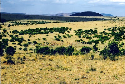 Photos of Olare Mara Kempinski