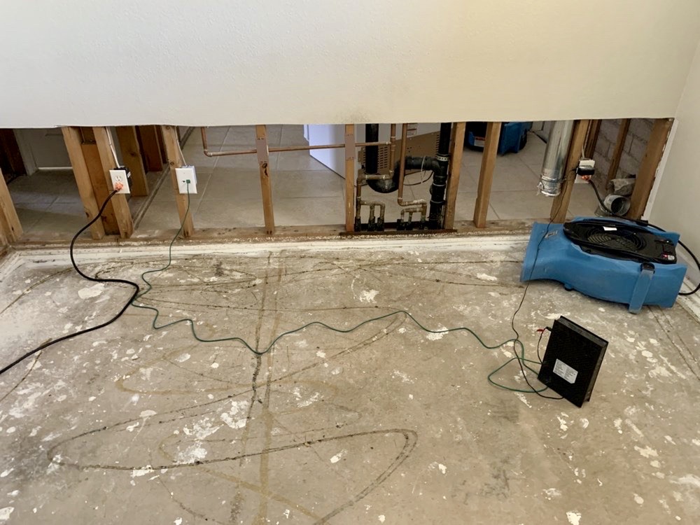 Best Water Damage & Mold photo