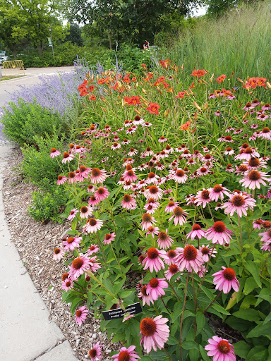 Minnesota Landscape Arboretum - United States