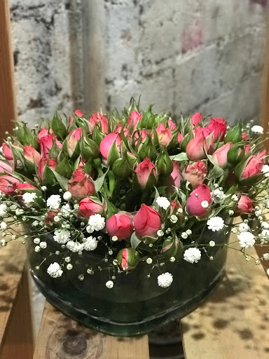 Susi & Mayis Floreria - Thumbnail