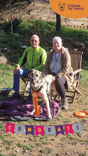 Sunbeam Dog Training & Behaviour - Thumbnail