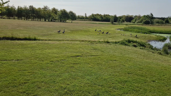 Anmeldelser af Nexø Golf Klub i Rønne - Golfklub