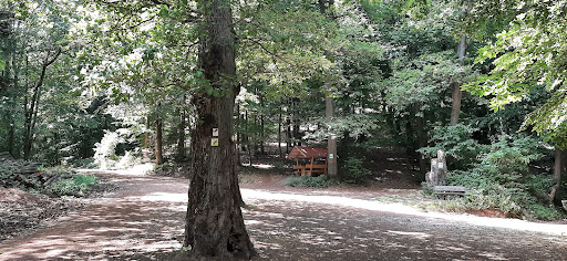 Hexentanzplatz Föhrläcker - Thumbnail