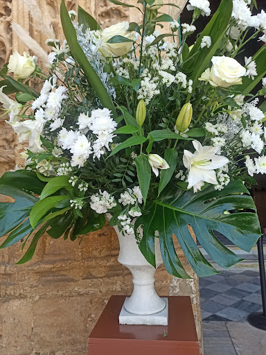 Macai Floristas - Thumbnail