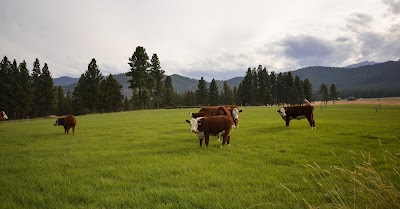 Bitterroot River Ranch