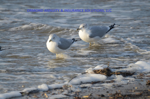Ormond Annuity & Insurance Solutions