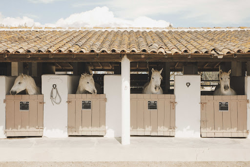Photo de Les Bains Gardians