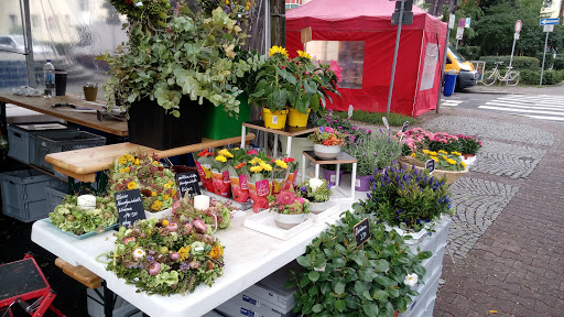 Wochenmarkt Niederrad - Thumbnail