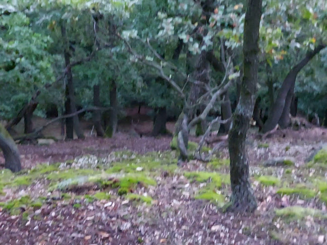 Parkolj és bringázz! (P+B) pont - Budakeszi