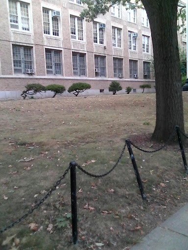 DeWitt Clinton High School Gallery - United States