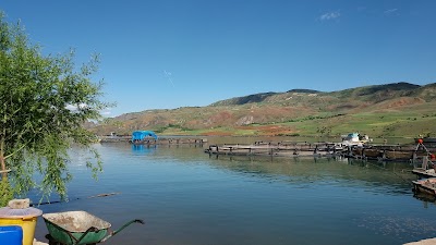 Photos of Marsis Su &Uuml;r&uuml;nleri
