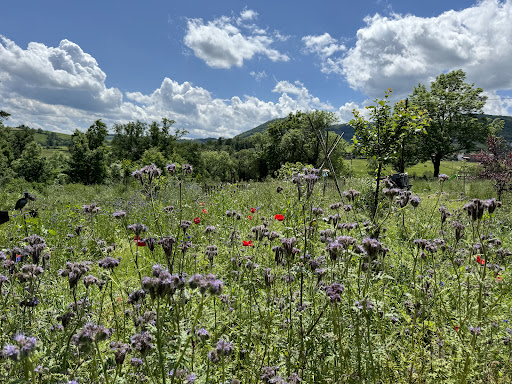 Photo de Le Jardin du Plessis