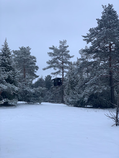 SILBERBERG Nature Reserve - Thumbnail