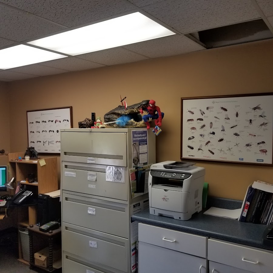 Rock Solid Termite & Pest Control