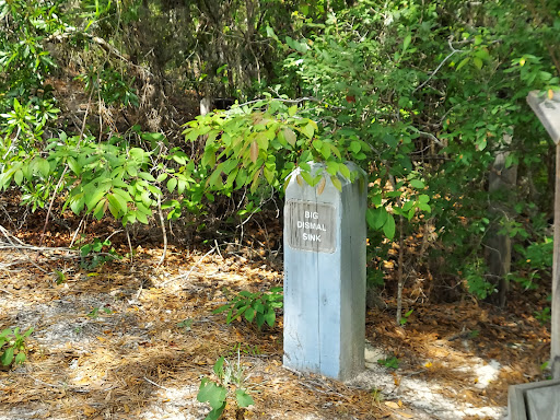 Apalachicola Wildlife Management Area - Thumbnail
