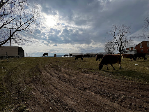 Wadel's Dairy - Thumbnail