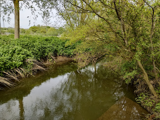 Bocking Blackwater Nature Reserve