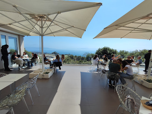 Lucrezio Cafè - Visual