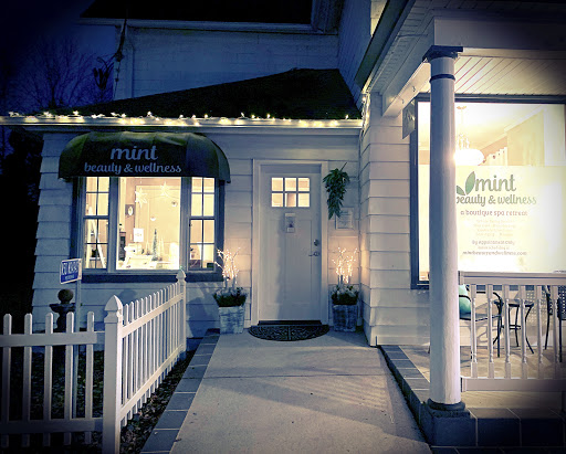 Microblading at Mint - Visual