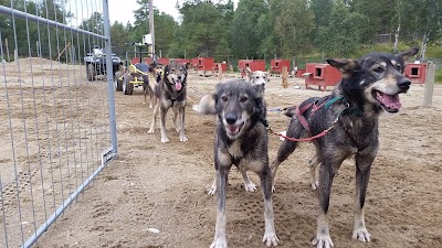 Photos of Alaskan Husky Tours