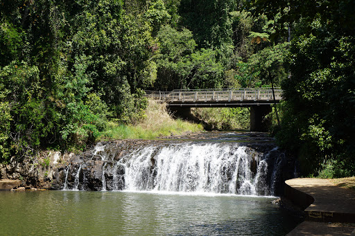 Malanda Falls - Visual