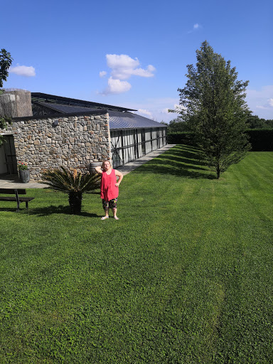 tenuta tovaglieri - Thumbnail