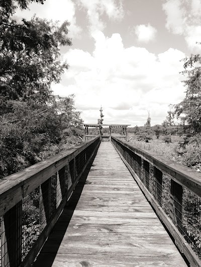 The Iatt Lake Observation Pier