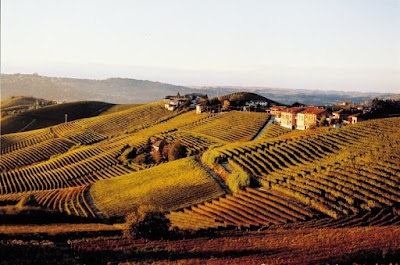 Barbaresco - Cortese Giuseppe