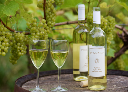 Avalon Vineyard - Thumbnail