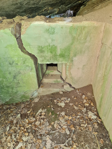 Gesprengter Westwallbunker - Thumbnail