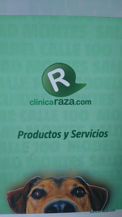 veterinary-care